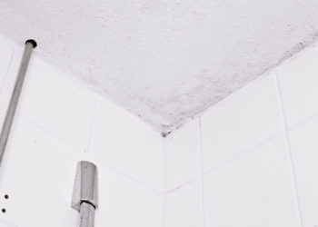 Stockflecken entfernen