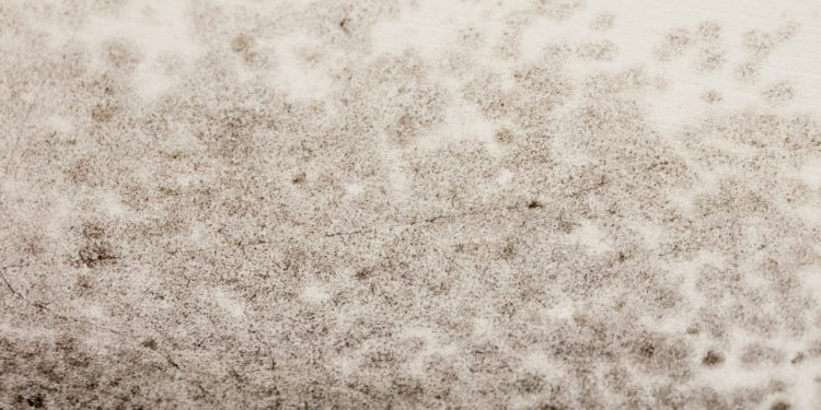 Schimmelflecken entfernen