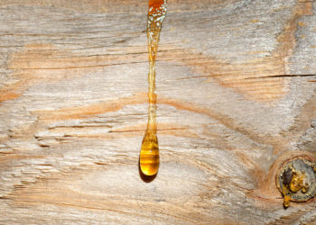 Harzflecken entfernen