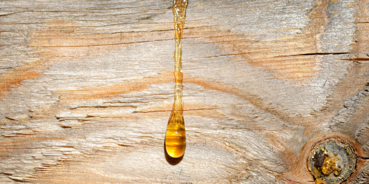 Harzflecken entfernen