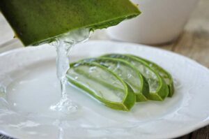 Aloe Vera Aloe Vera