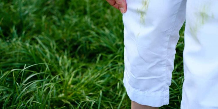 Grasflecken entfernen (depositphotos.com)