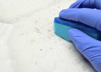 Schimmelflecken entfernen (depositphotos.com)