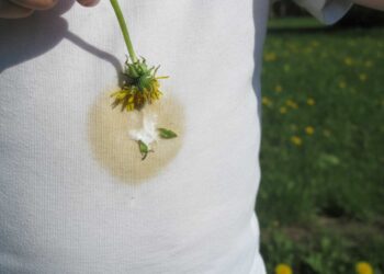 Löwenzahnflecken aus Kleidung entfernen – Hausmittel und Reinigungstipps